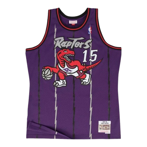 Vince Carter Raptors jersey